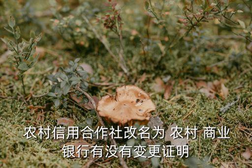  農(nóng)村信用合作社改名為 農(nóng)村 商業(yè)銀行有沒(méi)有變更證明