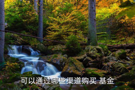 可以通過哪些渠道購(gòu)買 基金