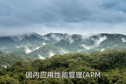 國(guó)內(nèi)應(yīng)用性能管理(APM