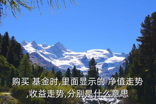 購買 基金時(shí),里面顯示的 凈值走勢,收益走勢,分別是什么意思