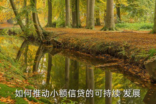 如何推動小額信貸的可持續(xù) 發(fā)展