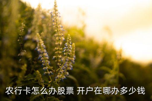 農(nóng)業(yè)銀行證券開(kāi)戶(hù)