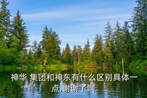  神華 集團和神東有什么區(qū)別具體一點,謝謝了啊