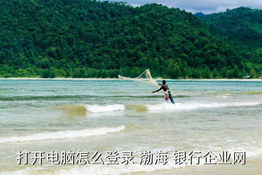 打開(kāi)電腦怎么登錄 渤海 銀行企業(yè)網(wǎng)