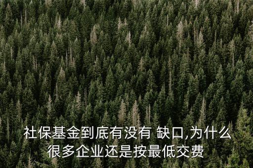 社?；鸬降子袥]有 缺口,為什么很多企業(yè)還是按最低交費