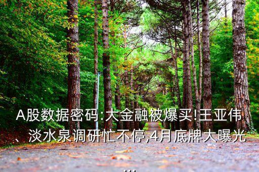 A股數(shù)據(jù)密碼:大金融被爆買!王亞偉、淡水泉調研忙不停,4月底牌大曝光...