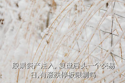  股票資產注入, 復盤后頭一個交易日,有漲跌停板限制嗎