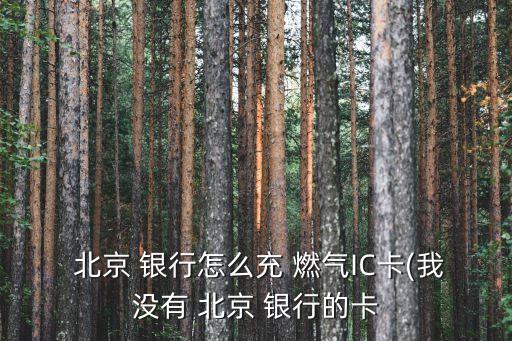  北京 銀行怎么充 燃氣IC卡(我沒有 北京 銀行的卡