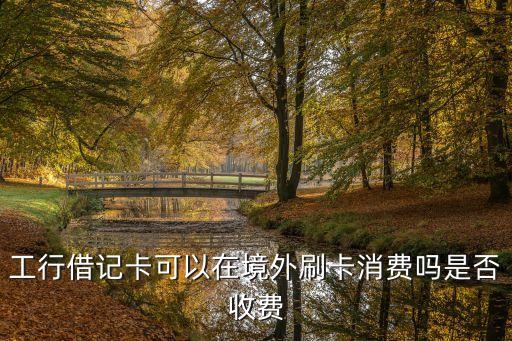 中國(guó)工商銀行儲(chǔ)蓄卡在日本取現(xiàn)