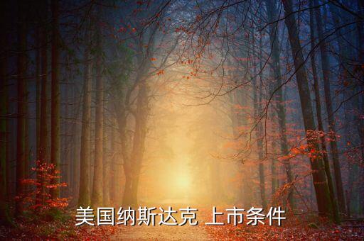 美國納斯達(dá)克 上市條件