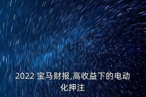 2022 寶馬財(cái)報(bào),高收益下的電動化押注