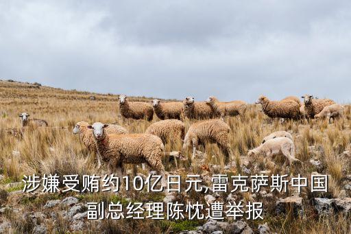 涉嫌受賄約10億日元,雷克薩斯中國副總經(jīng)理陳忱遭舉報(bào)