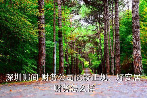 深圳哪間 財務(wù)公司比較正規(guī)、好安居 財務(wù)怎么樣