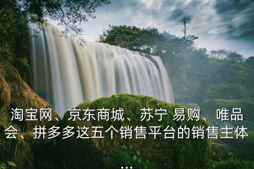 淘寶網(wǎng)、京東商城、蘇寧 易購、唯品會、拼多多這五個銷售平臺的銷售主體...