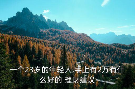 一個(gè)23歲的年輕人,手上有2萬(wàn)有什么好的 理財(cái)建議