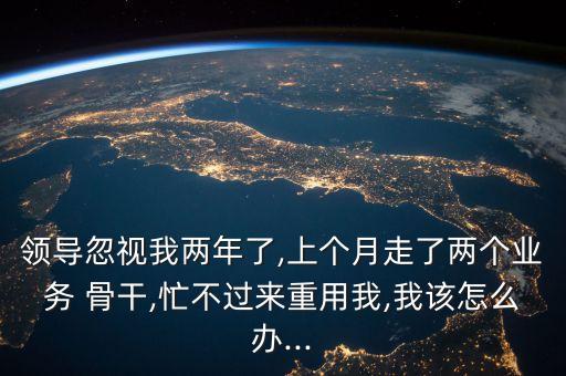 領(lǐng)導忽視我兩年了,上個月走了兩個業(yè)務 骨干,忙不過來重用我,我該怎么辦...