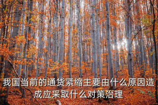 我國當(dāng)前的通貨緊縮主要由什么原因造成應(yīng)采取什么對(duì)策治理