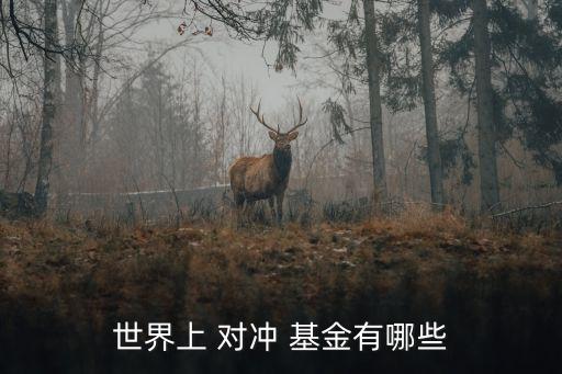 國內(nèi)對沖基金機(jī)構(gòu),國內(nèi)十大對沖基金排名