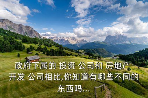 房地產(chǎn)開(kāi)發(fā)投資公司