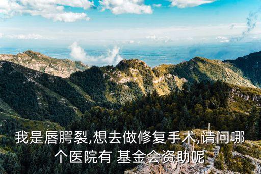 我是唇腭裂,想去做修復手術,請問哪個醫(yī)院有 基金會資助呢