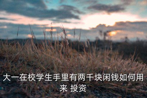 大一在校學(xué)生手里有兩千塊閑錢(qián)如何用來(lái) 投資