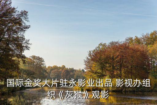 國際金獎(jiǎng)大片駐永影業(yè)出品 影視辦組織《灰猴》觀影
