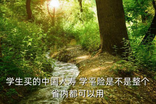 學(xué)生買的中國人壽 學(xué)平險是不是整個省內(nèi)都可以用
