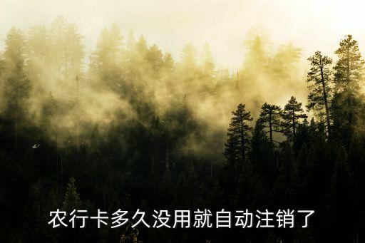 農(nóng)行卡多久沒用就自動(dòng)注銷了
