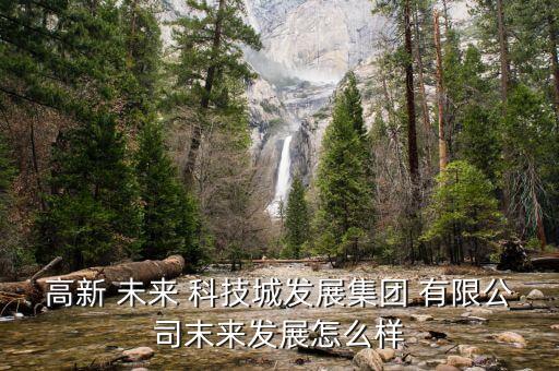 高新 未來 科技城發(fā)展集團(tuán) 有限公司末來發(fā)展怎么樣