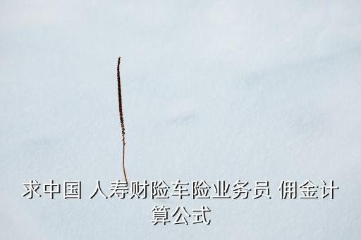 求中國(guó) 人壽財(cái)險(xiǎn)車險(xiǎn)業(yè)務(wù)員 傭金計(jì)算公式