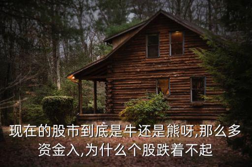 現(xiàn)在的股市到底是牛還是熊呀,那么多資金入,為什么個(gè)股跌著不起