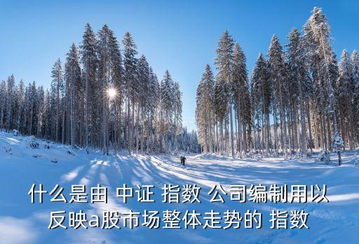 什么是由 中證 指數(shù) 公司編制用以反映a股市場(chǎng)整體走勢(shì)的 指數(shù)
