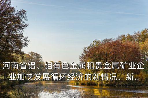 河南省鋁、鉬有色金屬和貴金屬礦業(yè)企業(yè)加快發(fā)展循環(huán)經(jīng)濟的新情況、新...