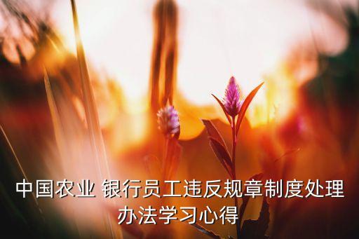 中國農(nóng)業(yè) 銀行員工違反規(guī)章制度處理辦法學習心得