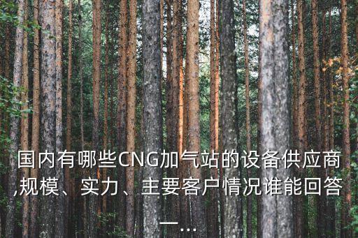國內(nèi)有哪些CNG加氣站的設備供應商,規(guī)模、實力、主要客戶情況誰能回答一...
