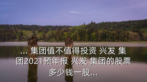 ... 集團值不值得投資 興發(fā) 集團2021預年報 興發(fā) 集團的股票多少錢一股...