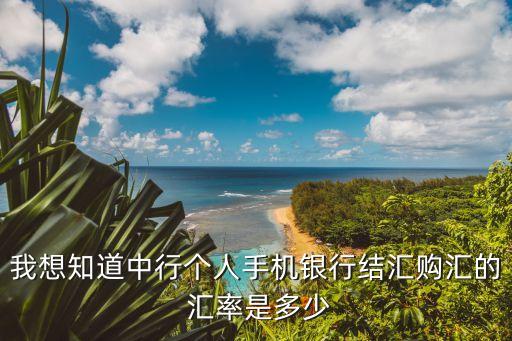我想知道中行個人手機銀行結匯購匯的 匯率是多少