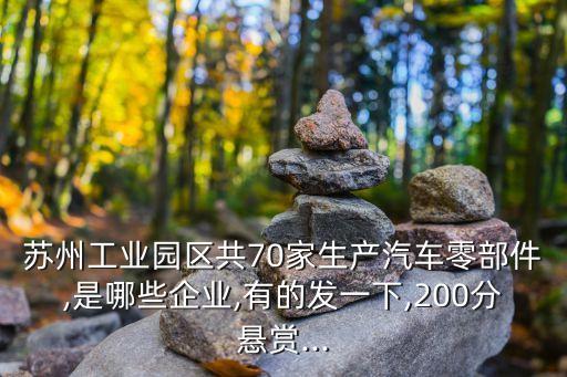 蘇州工業(yè)園區(qū)共70家生產汽車零部件,是哪些企業(yè),有的發(fā)一下,200分懸賞...