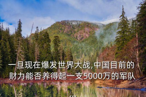 一旦現(xiàn)在爆發(fā)世界大戰(zhàn),中國(guó)目前的 財(cái)力能否養(yǎng)得起一支5000萬的軍隊(duì)...