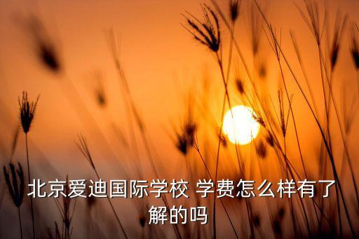  北京愛迪國際學(xué)校 學(xué)費怎么樣有了解的嗎