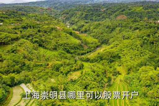  上海崇明縣哪里可以股票開(kāi)戶