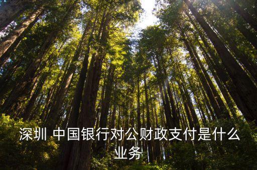  深圳 中國銀行對公財政支付是什么業(yè)務(wù)