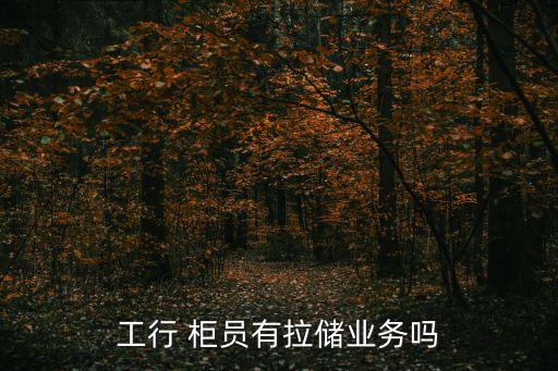 工行 柜員有拉儲(chǔ)業(yè)務(wù)嗎