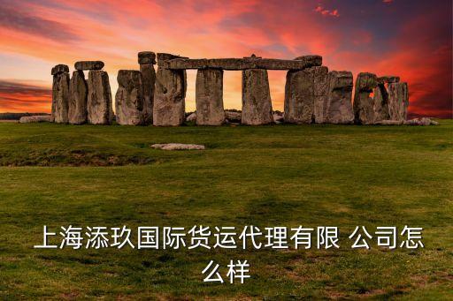  上海添玖國際貨運代理有限 公司怎么樣