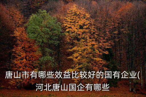 開灤集團和國和汽車的關(guān)系