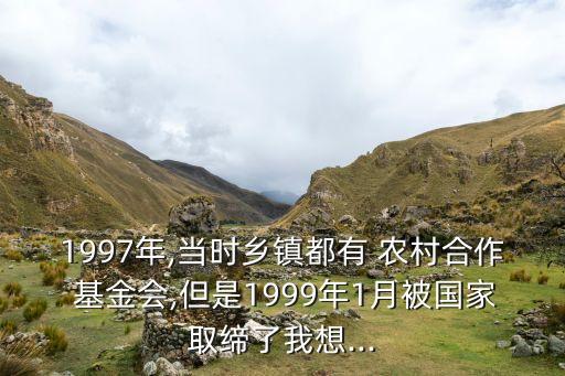 1997年,當(dāng)時(shí)鄉(xiāng)鎮(zhèn)都有 農(nóng)村合作 基金會(huì),但是1999年1月被國(guó)家取締了我想...
