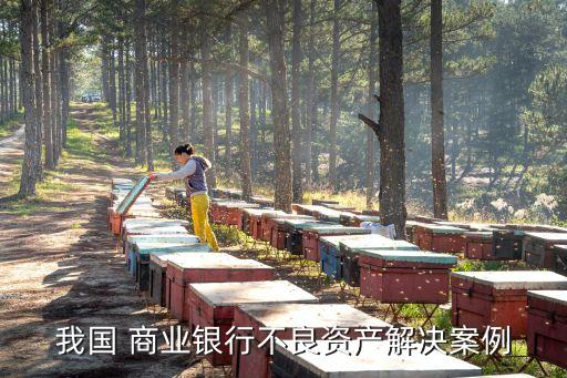 商業(yè)銀行金融風(fēng)險事例,我國商業(yè)銀行房地產(chǎn)金融風(fēng)險及其防范