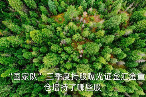 “國家隊(duì)”三季度持股曝光證金匯金重倉增持了哪些股