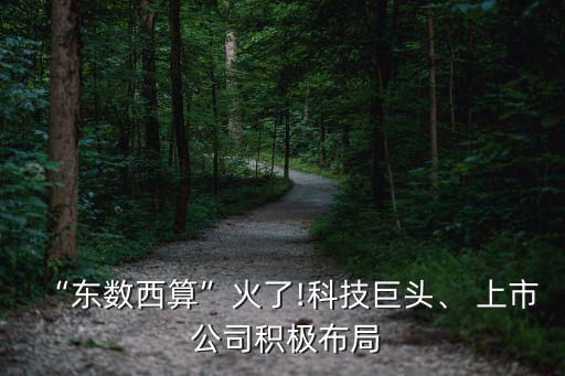 “東數(shù)西算”火了!科技巨頭、 上市 公司積極布局
