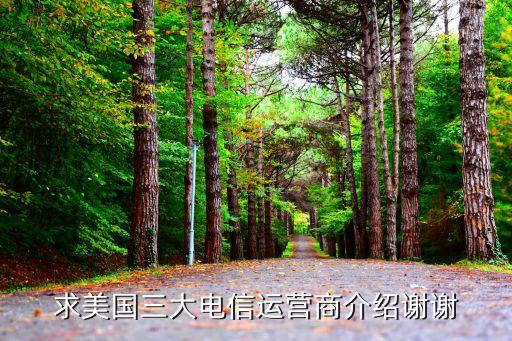 求美國(guó)三大電信運(yùn)營(yíng)商介紹謝謝